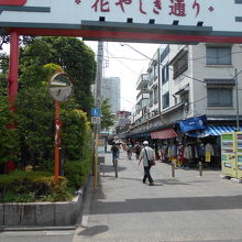 浅草花やしき通り
