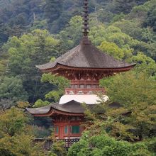 あせび歩道から見た多宝塔