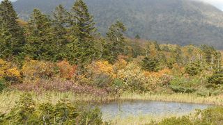 百名山登山の原点になった初心者向けの眺望がよい北八甲田連峰