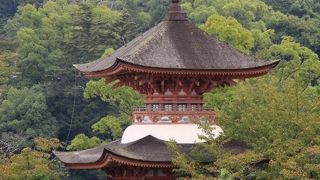 あせび歩道の途中にあり