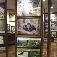 1階のギャラリー