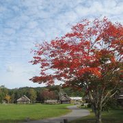 10月中旬に訪れると園内の木が紅葉していてきれい