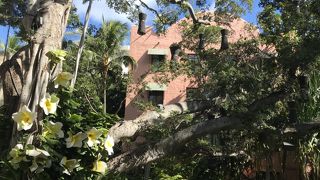 グルメもショッピングも楽しめます