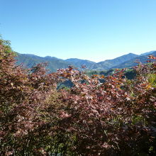 楓之谷から見る風景、目の前にあるのは楓の木々