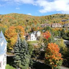 ゴンドラからの風景