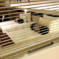 お風呂からのブラインド