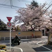 落ち着いた寺の境内は広々