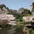 日本庭園が最高にきれい