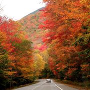 アメリカ屈指の紅葉街道