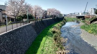 個人的には、一番武蔵野の面影を残す川という感じがして、超おすすめです。