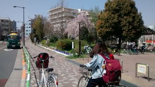染井霊園の北方にあって、訪問時は、ソメイヨシノの花がたいへんきれい
