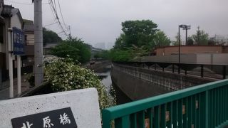 江古田公園から哲学堂公園を通って、落合公園までの妙正寺川沿いの散策は超おすすめ