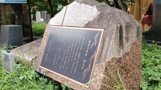 可愛い柳が増えてきました