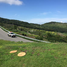 庭の一部　不思議な空間が広がります