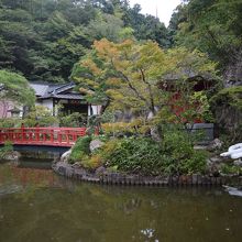 弁天堂のふもとには大きな白蛇