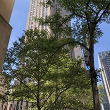 近くだとビルの全景は撮れません。首が痛くなります。