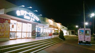 (佐野サービスエリア上り)　フードコートでは、佐野ラーメン等を食べることができるようです