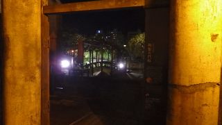 夜はさすがによくわからない