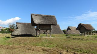 晴れの日は最高