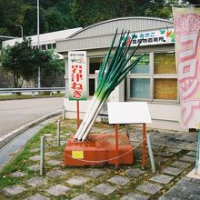 岩津ねぎが目を惹きます（笑）。