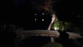 徽軫灯籠とセット