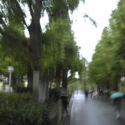 雨のキャンパス