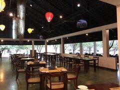 カサッパ ライオンズ ロック 写真