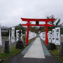 見た目もインパクトがある