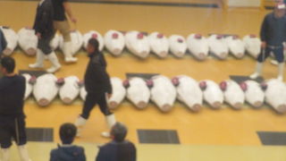 冷凍マグロが並んでいました