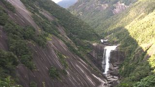 駐車場の売店もおすすめ