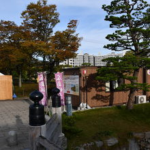 遊覧船の発着場