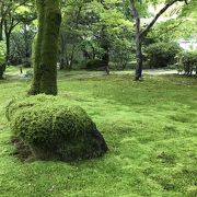 美しい苔寺