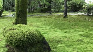 美しい苔寺