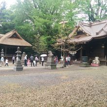 玉敷神社の境内