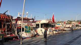 マルマリス マリーナ