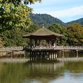 奈良公園内の素敵な場所