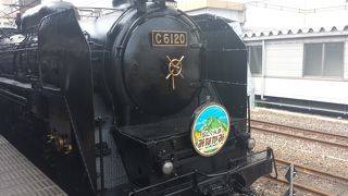 高崎⇔水上往復乗車