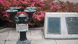 水は飲めません