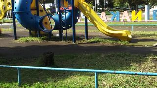 ちびっこが楽しめそう