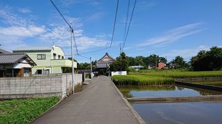 のどかな田園に囲まれたお寺