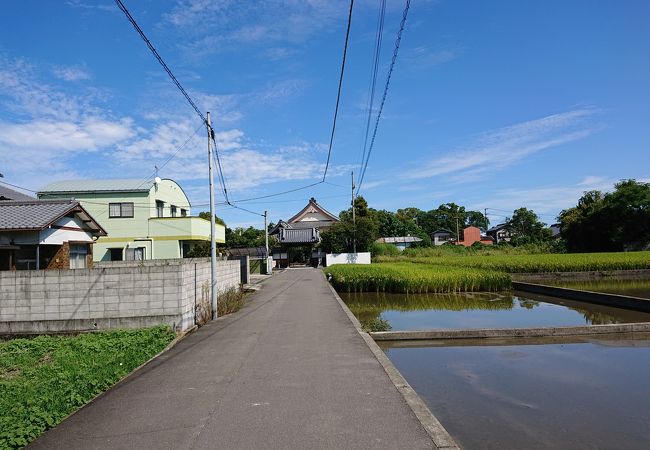 のどかな田園に囲まれたお寺