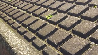 渡し船で渡っていた