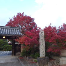 神光院前、紅葉は美しかった