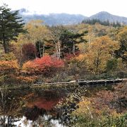 紅葉が映える小さな沼