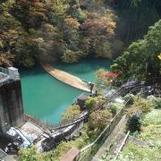 紅葉を見に大多摩ウオーキングトレイルを歩き白丸湖に行きました