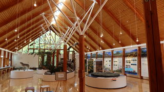 大きく綺麗な観光案内所