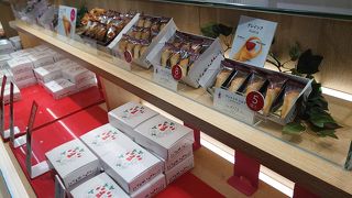 見た目がかわいいグレイシア。買うならここは穴場です。