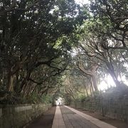 酒列磯前神社・樹叢