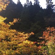 渓谷に色付く紅葉と細い林道。