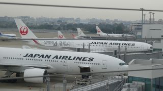 JALやANAなどの機体が見れます。